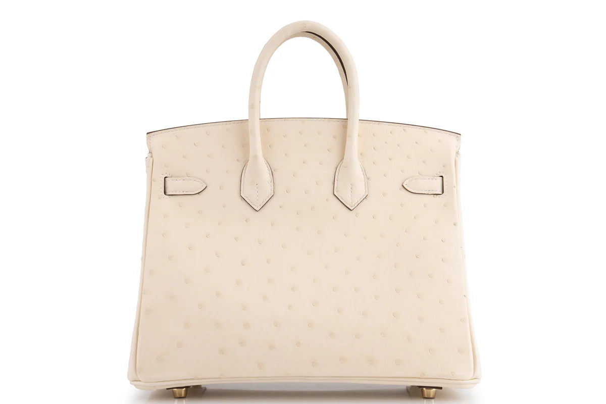 Hermès Birkin 25 Ostrich Nata GHW