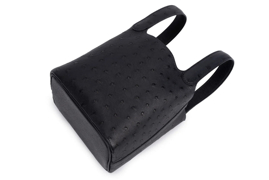 Hermès Micro Picotin Ostrich Caban PHW