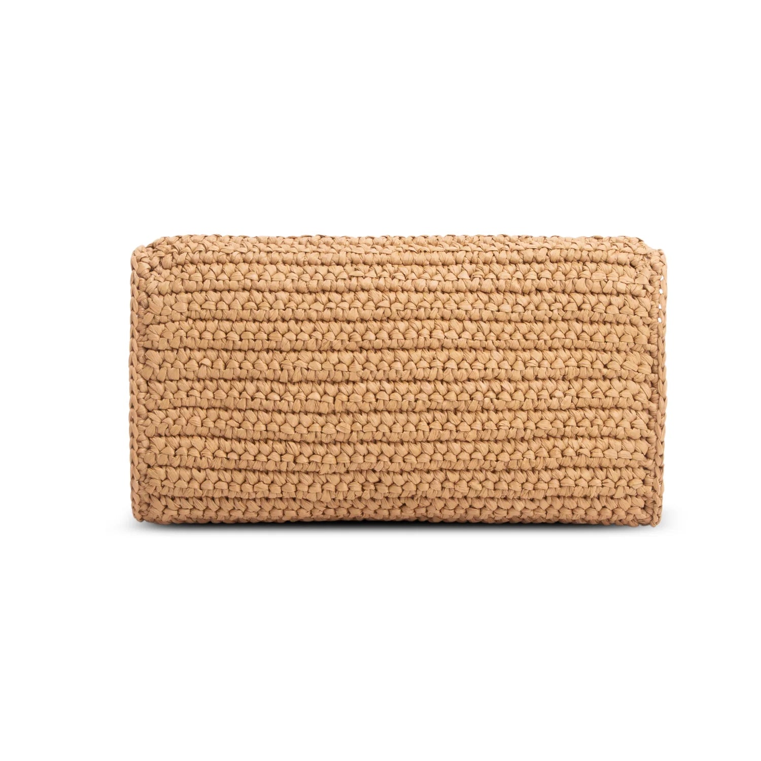 Saint Laurent 2025 Raffia Monogram Tassel Kate 99