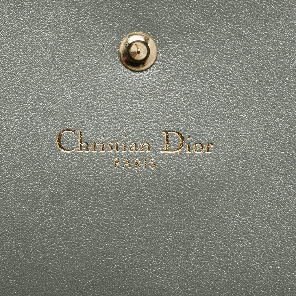 Dior Diorama Metallic Leather Wallet On Chain