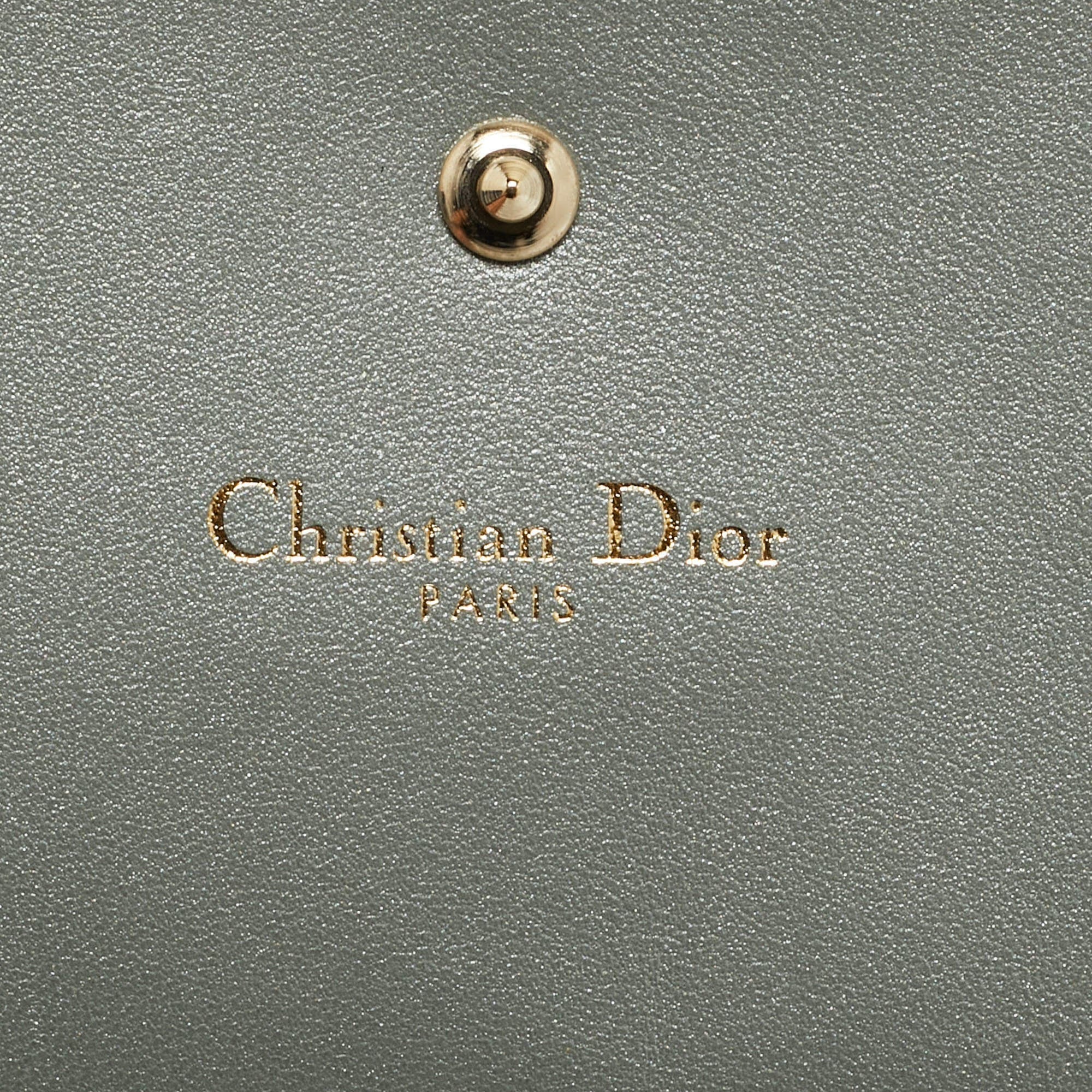 Dior Diorama Metallic Leather Wallet On Chain
