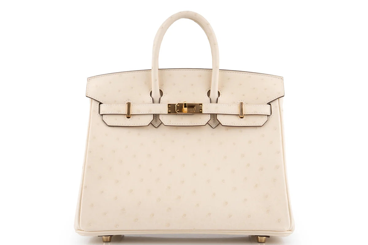 Hermès Birkin 25 Ostrich Nata GHW