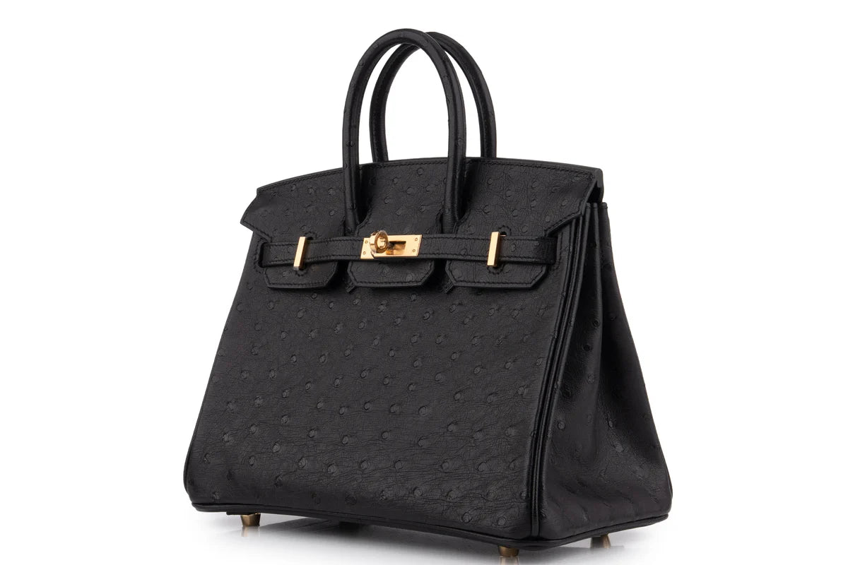 Hermès Birkin 25 Ostrich Noir GHW