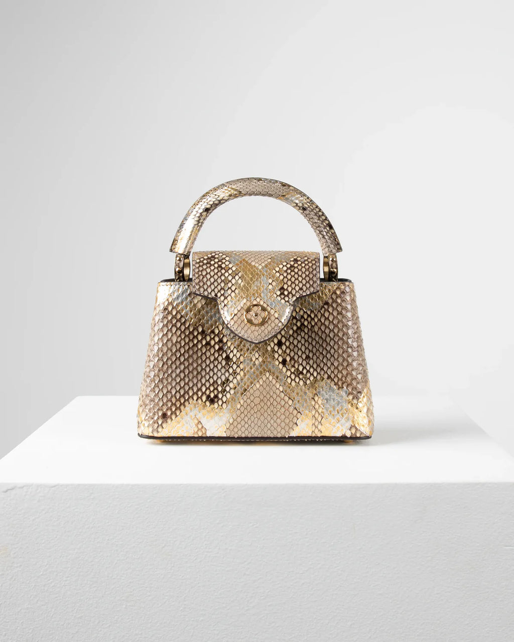 Louis Vuitton Capucine Bag