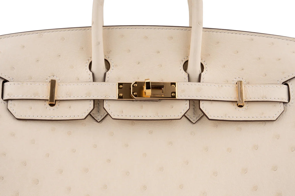 Hermès Birkin 25 Ostrich Nata GHW