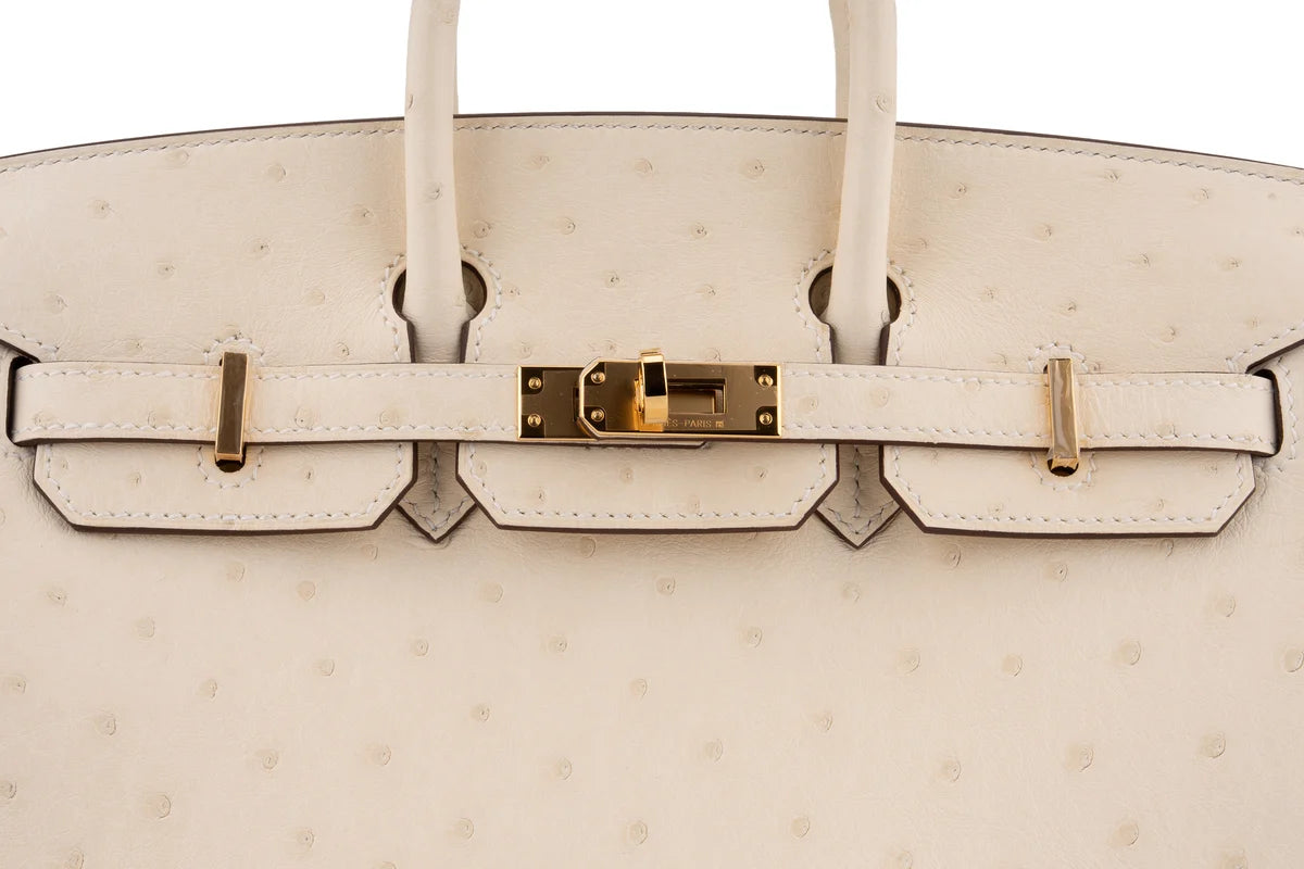 Hermès Birkin 25 Ostrich Nata GHW
