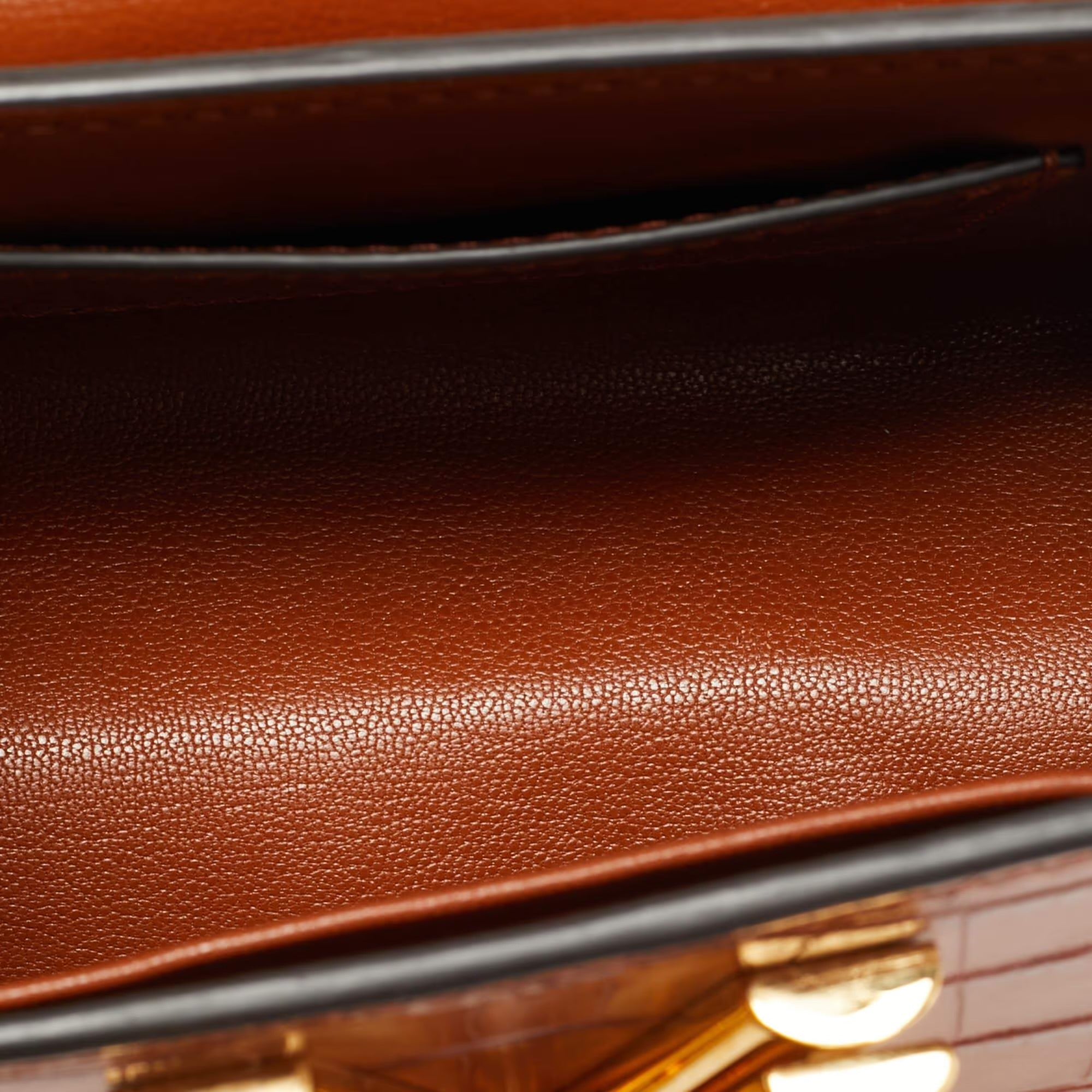 Louis Vuitton Twist PM Brown Crocodile Bag