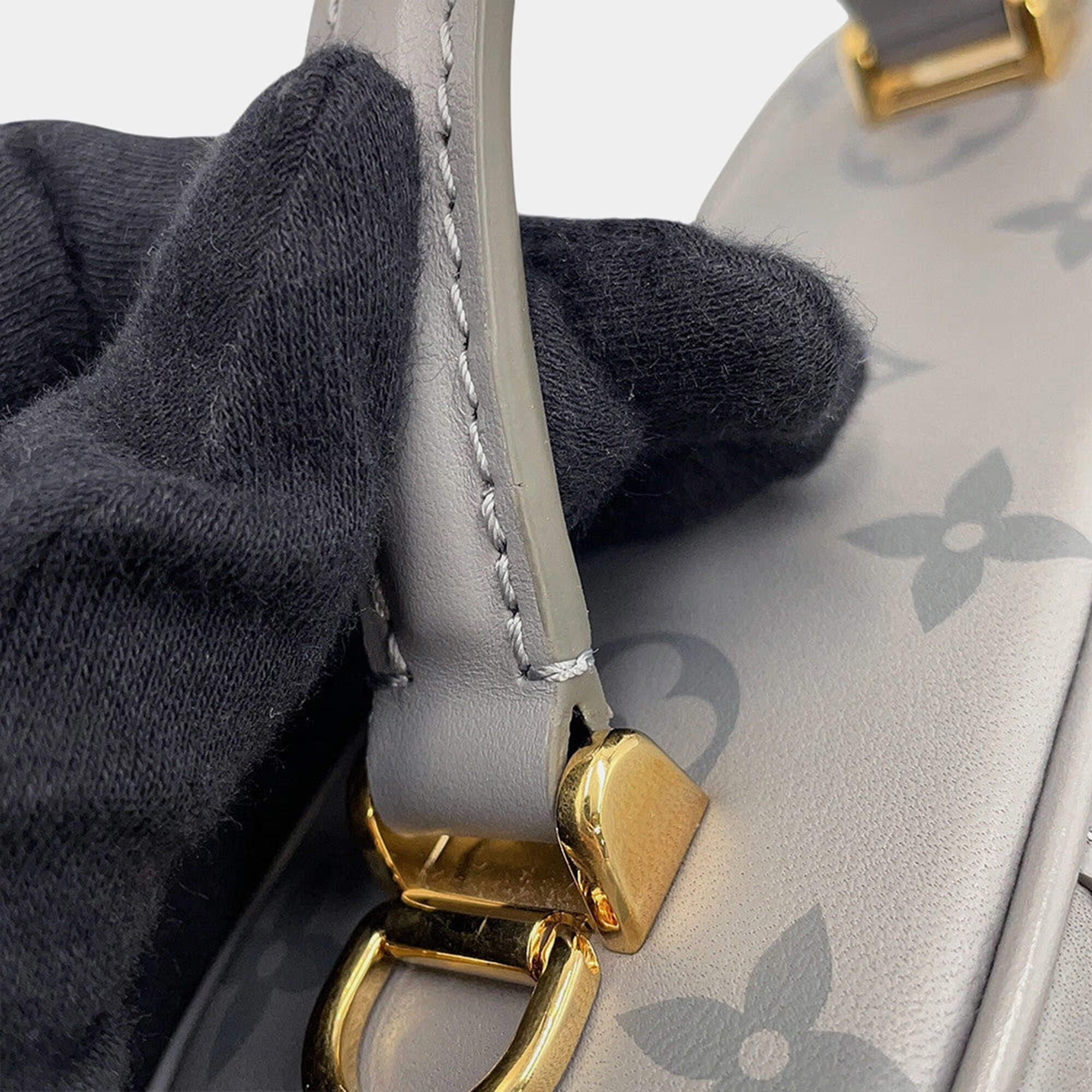 Louis Vuitton Vanity Chain Pouch Trianon Grey Calf Leather