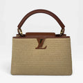 LOUIS VUITTON CAPUCINES MM BAG