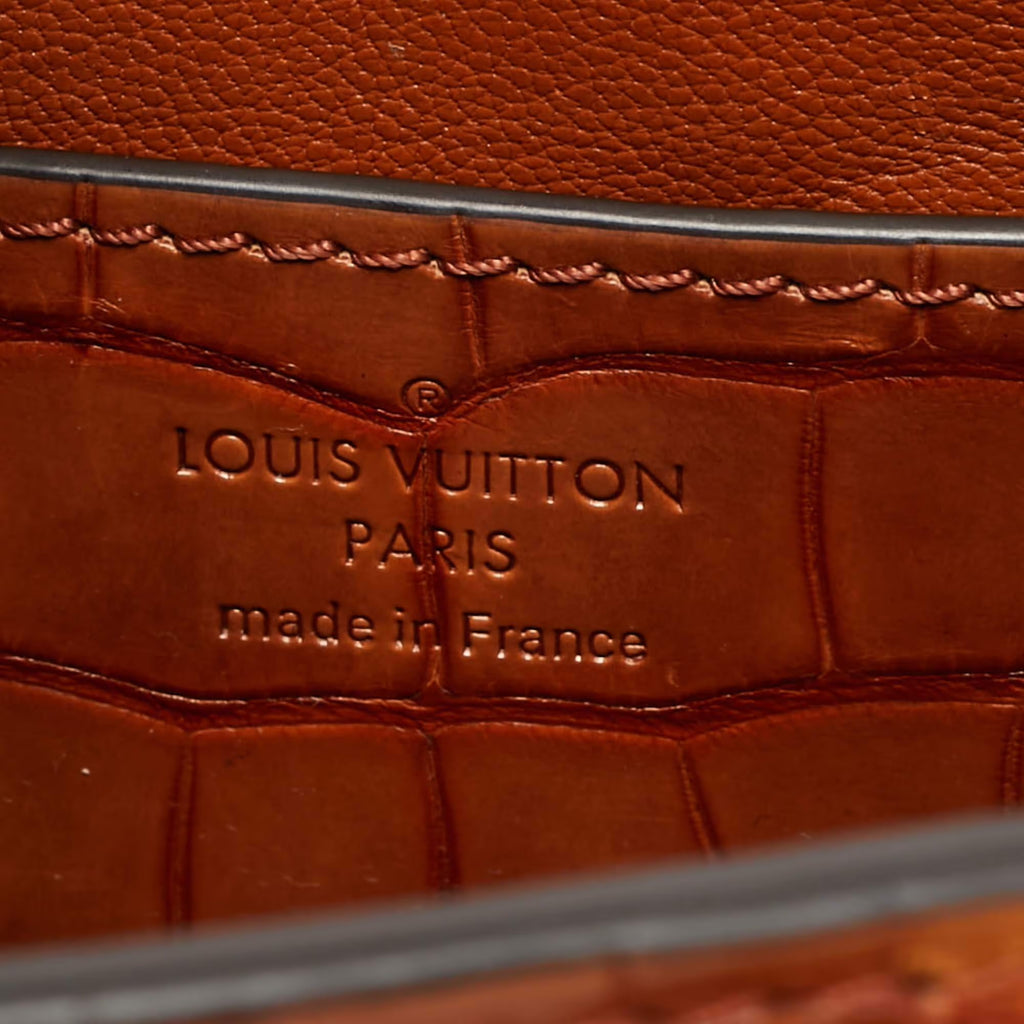 Louis Vuitton Twist PM Brown Crocodile Bag