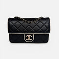 CHANEL WALLET ON CHAIN 2026 COLLECTION WITH PALE GOLD HARDWARE
