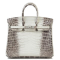 Hermès Limited Edition Birkin 25 Himalaya Matte Niloticus Crocodile