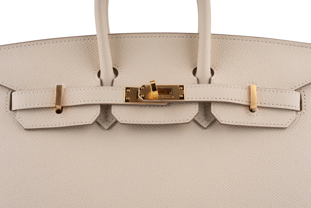 Hermès Birkin 25 Epsom Nata GHW