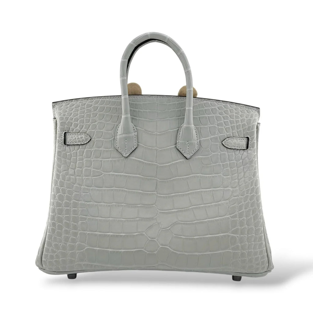 Hermes Birkin 25 Gris Neve Retourne Matte Alligator PHW